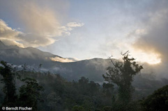 Mount Kinabalu - Zum Vergroessern klicken!